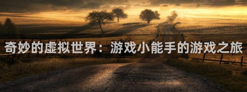 奇妙的虚拟世界：游戏小能手的游戏之旅