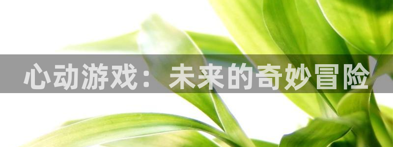 乐玩玩手游盒子下载：心动游戏：未来的奇妙冒险
