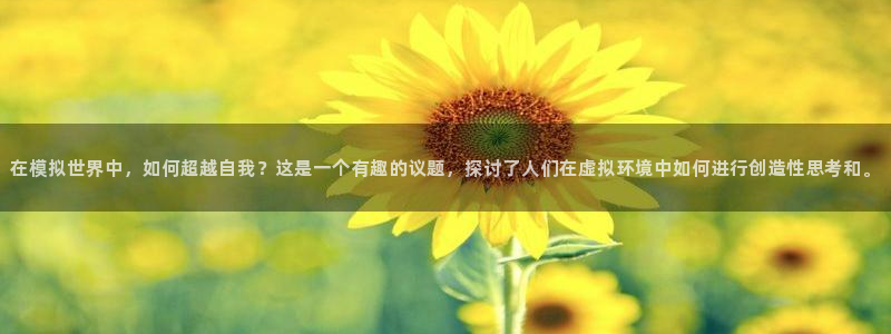 乐玩平台黑不黑官方入口最新版更新内容