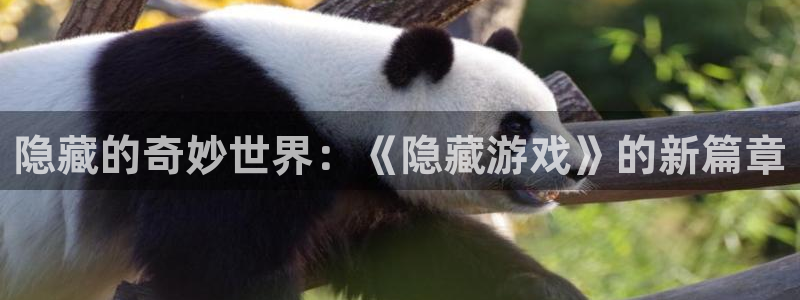 乐玩injoy下载