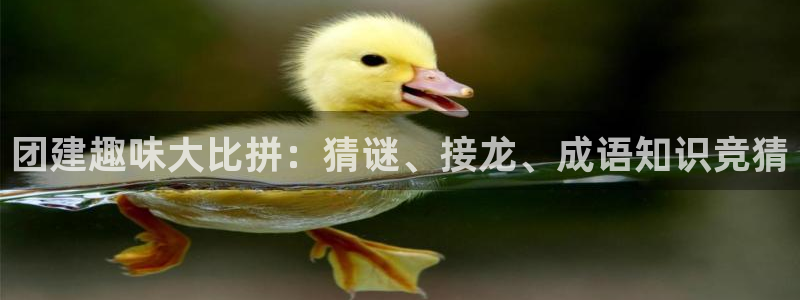 乐玩网络科技官网下载