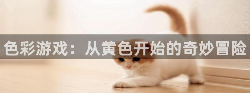 游戏平台乐玩