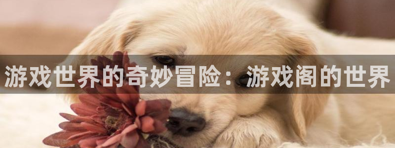 乐玩ios网页入口官网：游戏世界的奇妙冒险：游戏阁的世界