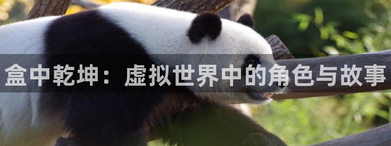 乐玩最新版本下载