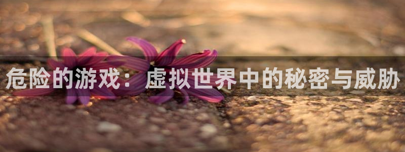 乐玩平台：危险的游戏：虚拟世界中的秘密与威胁