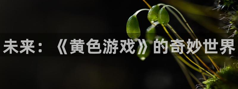 乐玩国际app最新版本更新内容