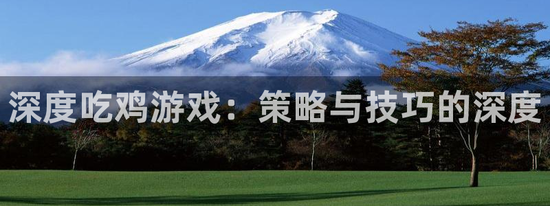 乐玩玩手游盒子ios：深度吃鸡游戏：策略与技巧的深度